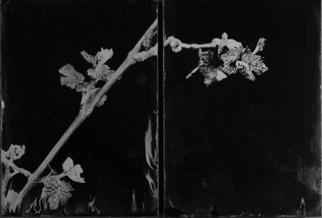 Steffen_Diemer_PersiehlundHeine