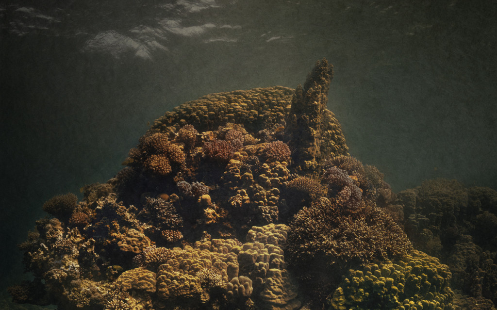 Gregor_Toerzs_Grand_Coral_P&H