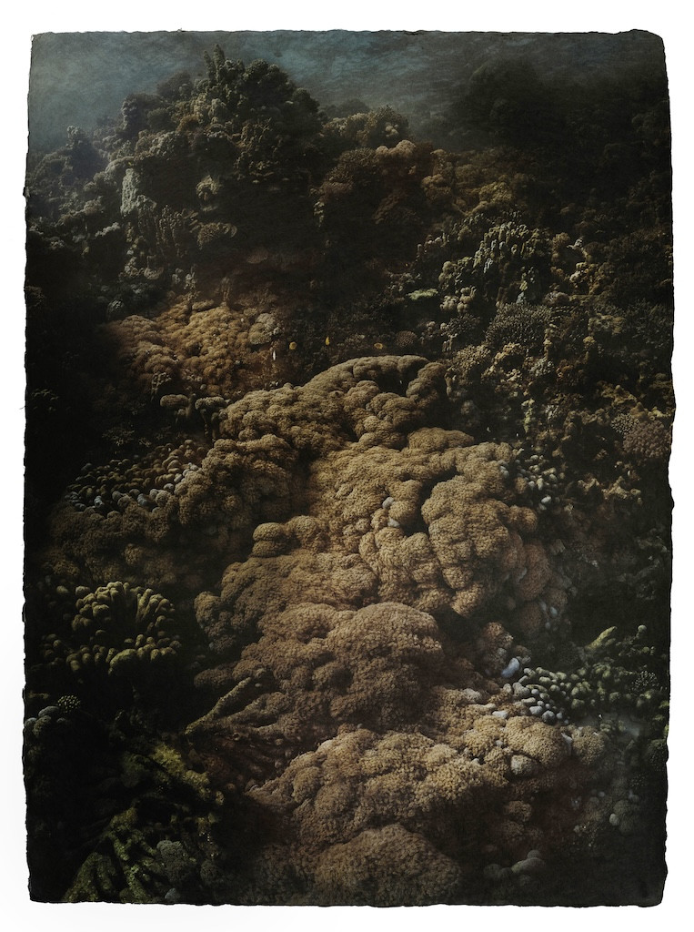 Gregor_Törzs_Soft_Corals_Scape_Persiehl&Heine