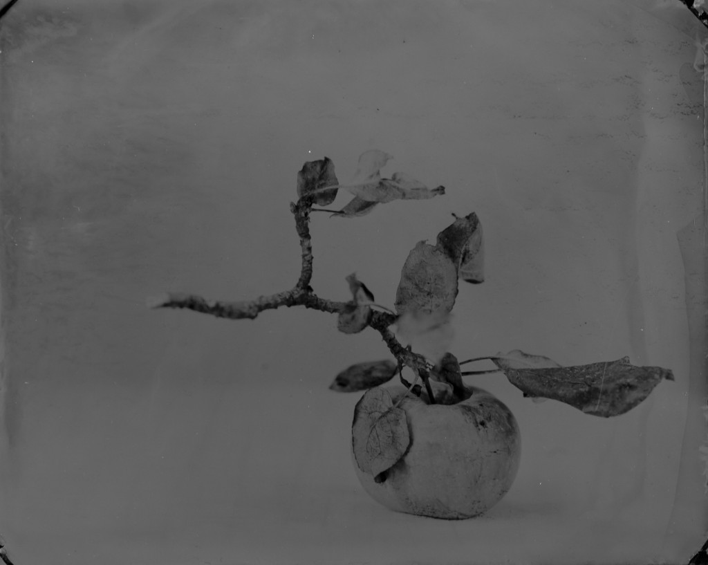 Commeter_Apfel-0133
