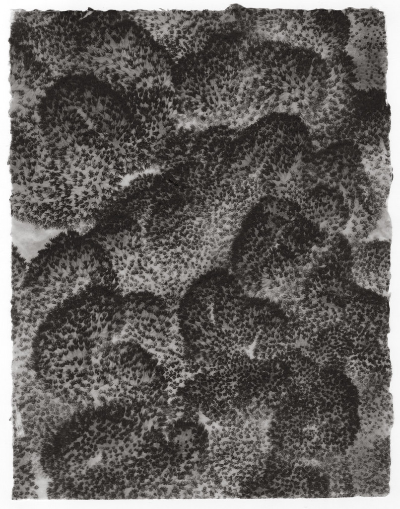 soft coral no. 9