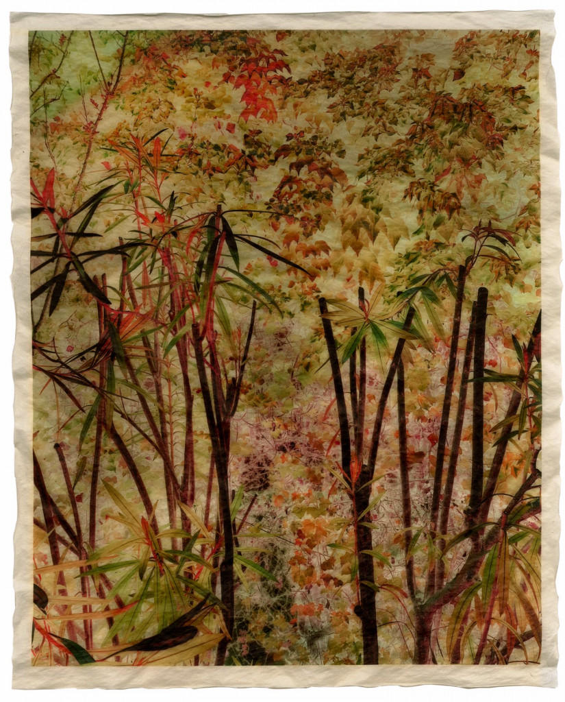 autumn 1_Commeter_GT_F_465.003
