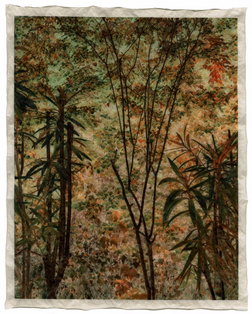 autumn 2_Commeter_GT_F_466.003