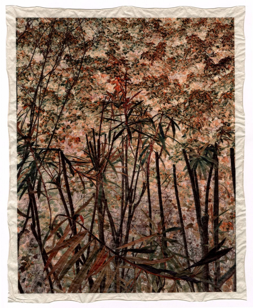 a la coul_autumn 3_Commeter_GT_F_467.003
