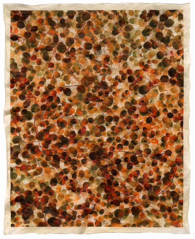 Gregor_Toerzs_Venlore_5 Gregor_Toerzs_Venlore_5